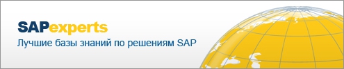 SAP-Experts Long
